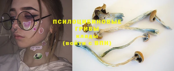2c-b Белоозёрский