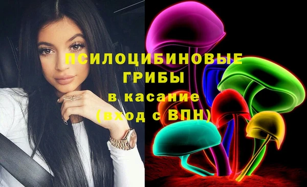 экстази Белокуриха
