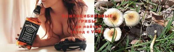 экстази Белокуриха