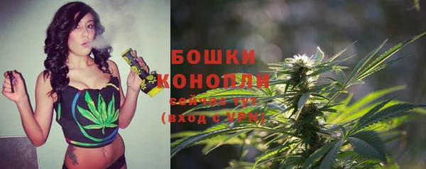 экстази Белокуриха