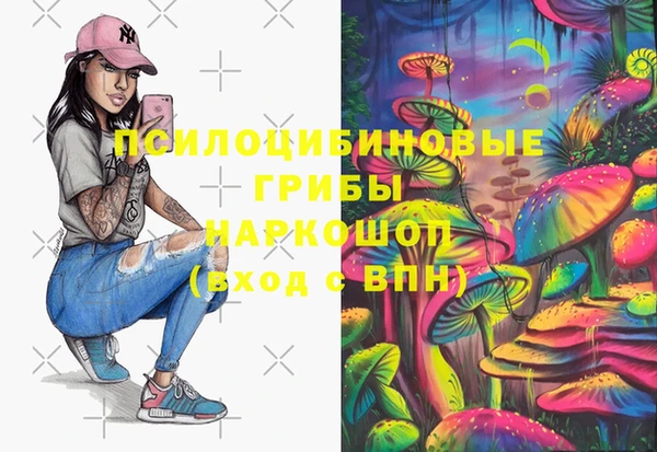 apvp Балахна