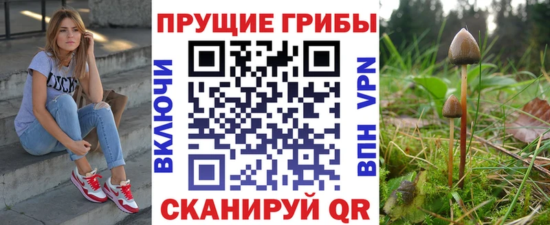 Галлюциногенные грибы мицелий  ссылка на мегу ССЫЛКА  Буинск 